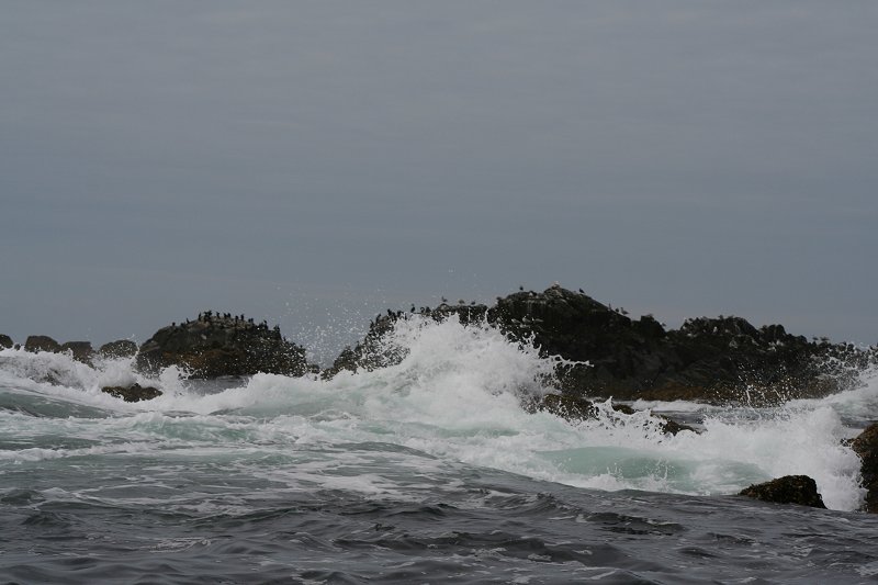 Surf at Sitka
