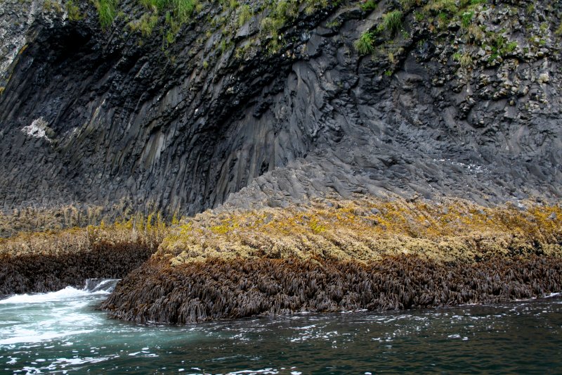 Saint Lazaria Island, Alaska