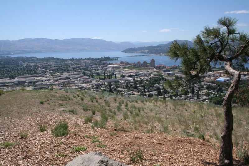 Kelowna, BC, from Knox Mountain