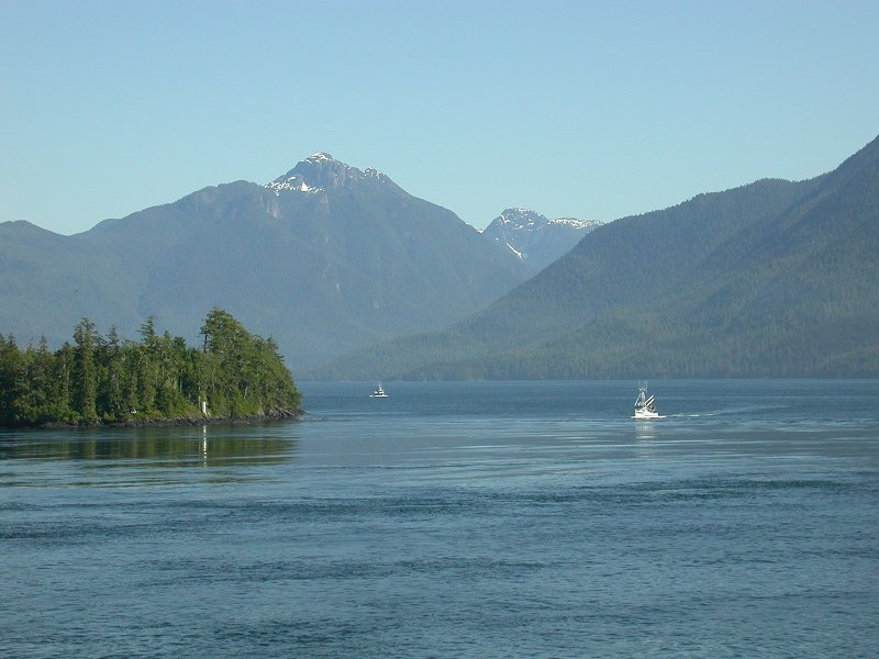  Mt. Palmerston
