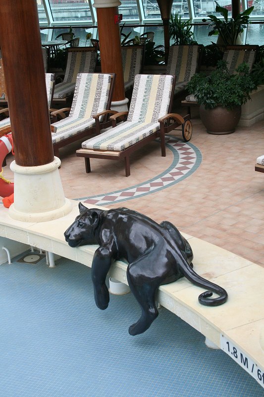 Poolside panther